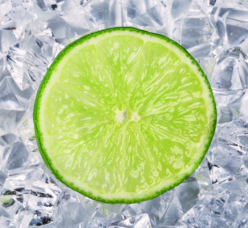Circle of green lime stock photo. Image of isolated, green - 75548456