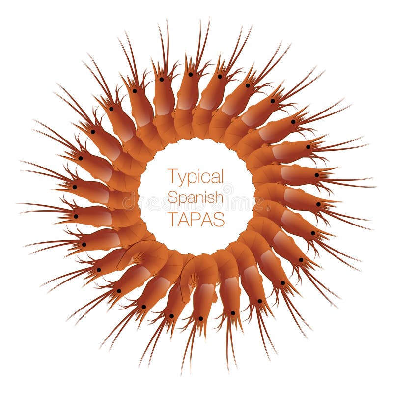Circle of prawns. Typical Spanish tapa. vector illustration