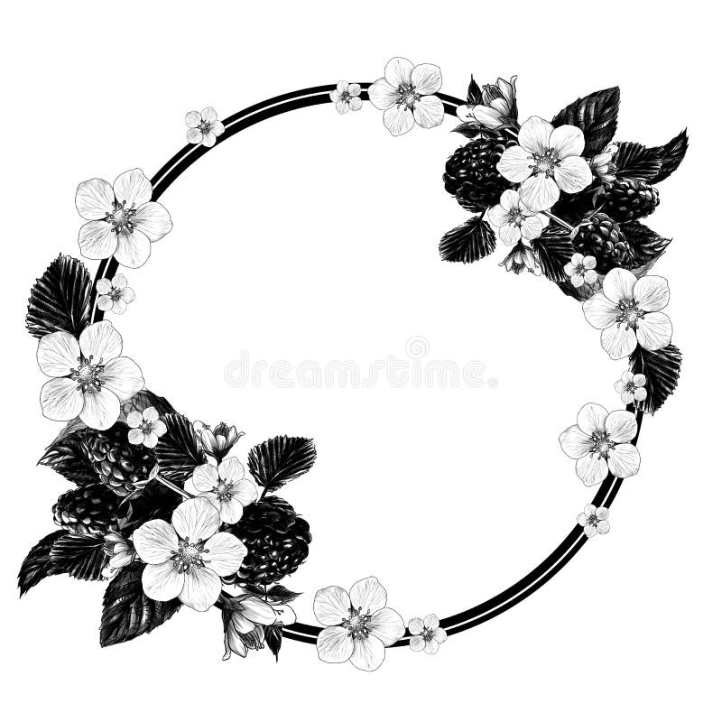 Circle shaped frame surrounded by raspberry berries leaves and flowers vector illustration