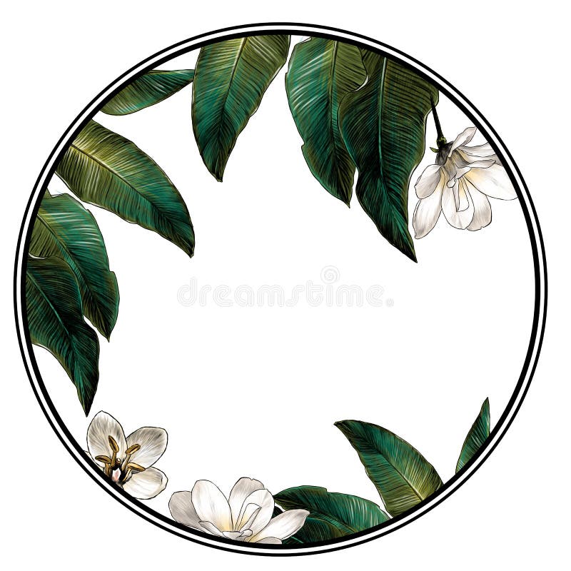 Circle shaped frame surrounded by tropical plants and flowers royalty free illustration