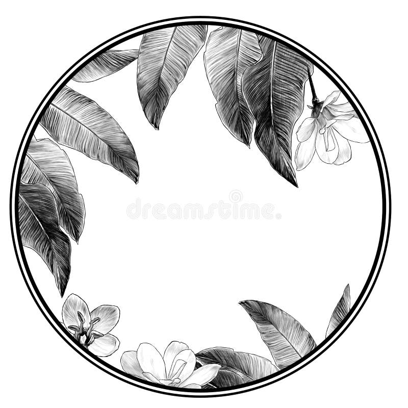 Circle shaped frame surrounded by tropical plants and flowers stock illustration