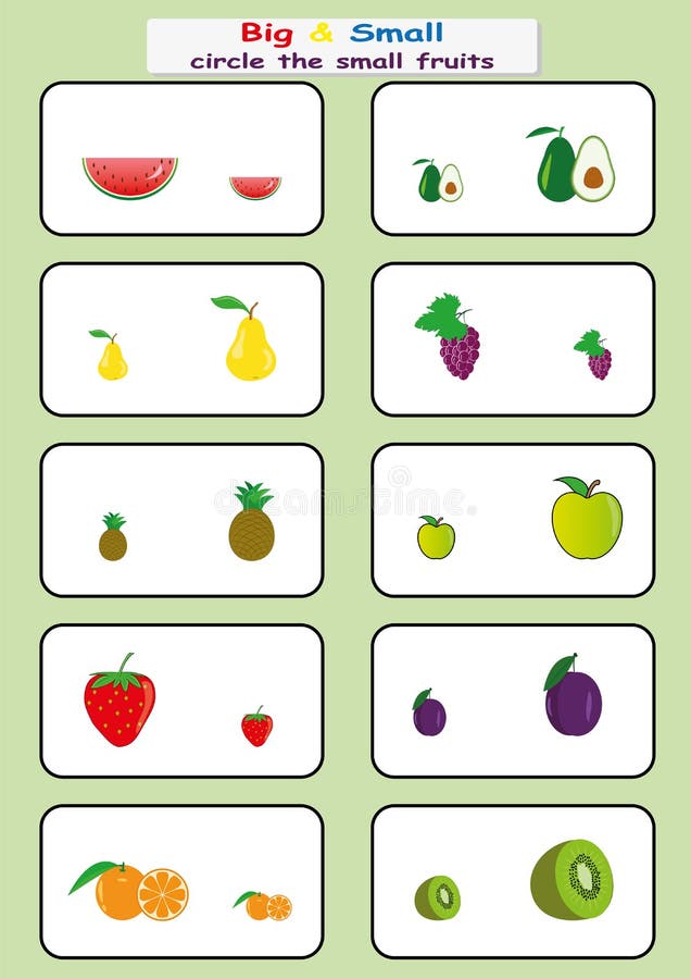 Circle the small fruits, Find Big or Small worksheet for kids, opposite. worksheet