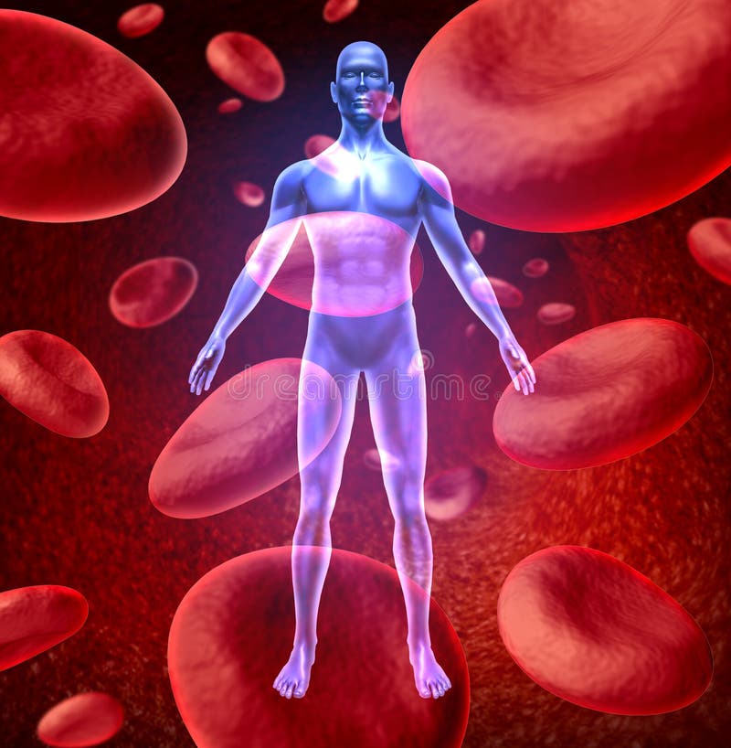 Human blood circulation symbol with red blood cells flowing through veins and human circulatory system representing a medical health care symbol. Human blood circulation symbol with red blood cells flowing through veins and human circulatory system representing a medical health care symbol.