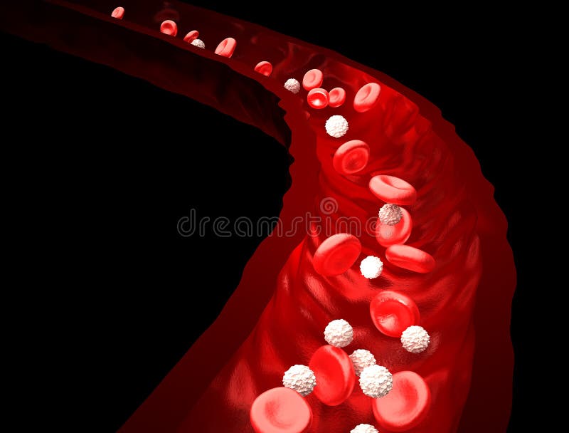 Circolazione sanguigna - rossa e globuli bianchi che attraversano vena - isolata sul nero illustrazione vettoriale Circolazione sanguigna - rossa e globuli bianchi che attraversano vena - isolata sul nero illustrazione vettoriale