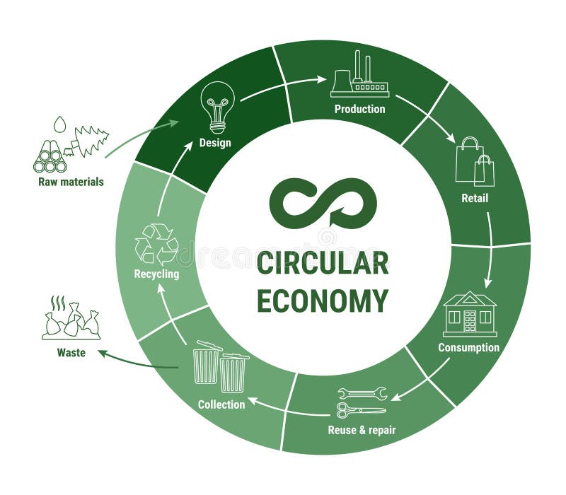 Circular economy line infographic on green diagram. Sustainable business model. Scheme of product life cycle from raw material to