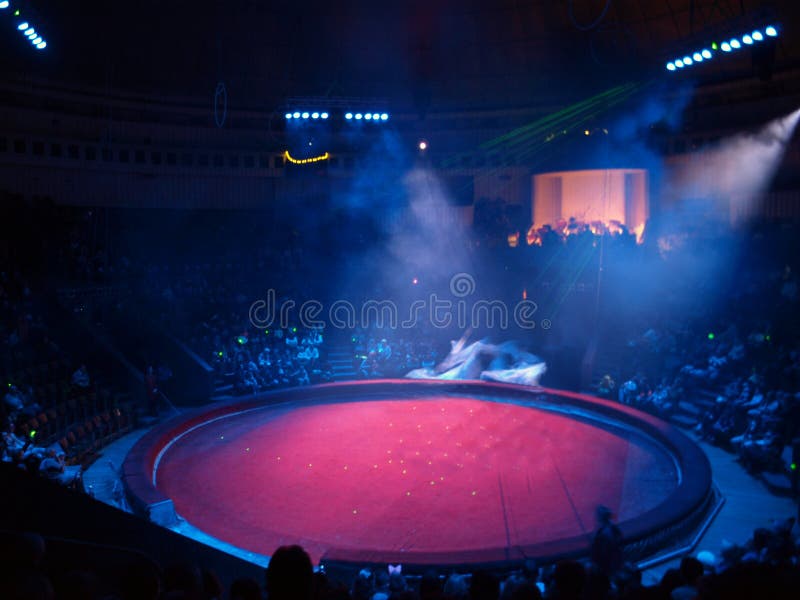 Circo rotondo arena è previsto un ricavo di artisti.