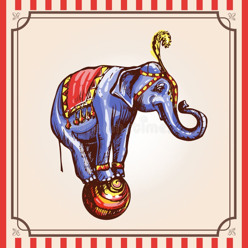 Circus elephant on the ball. Colorful vector vintage illustration. Image in the style of color engraving on a stylized circus background