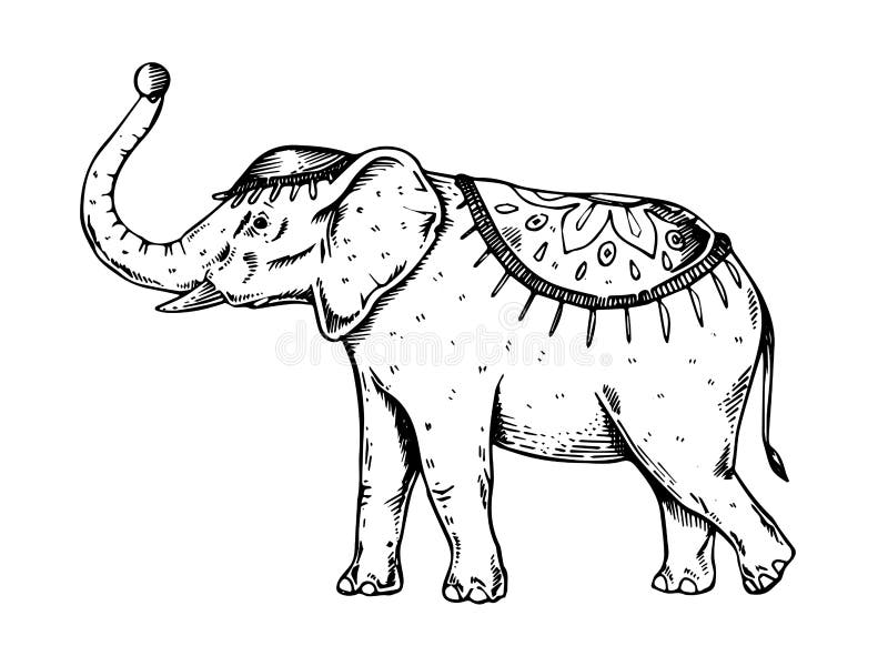 Circus elephant engraving vector illustration