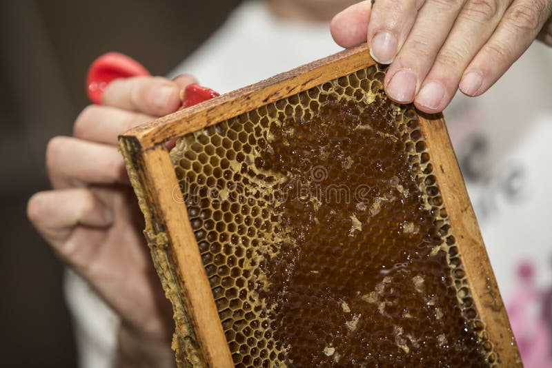 Cire d'abeille enlevée par apiculteur images libres de droits Cire d'abeille enlevée par apiculteur images libres de droits