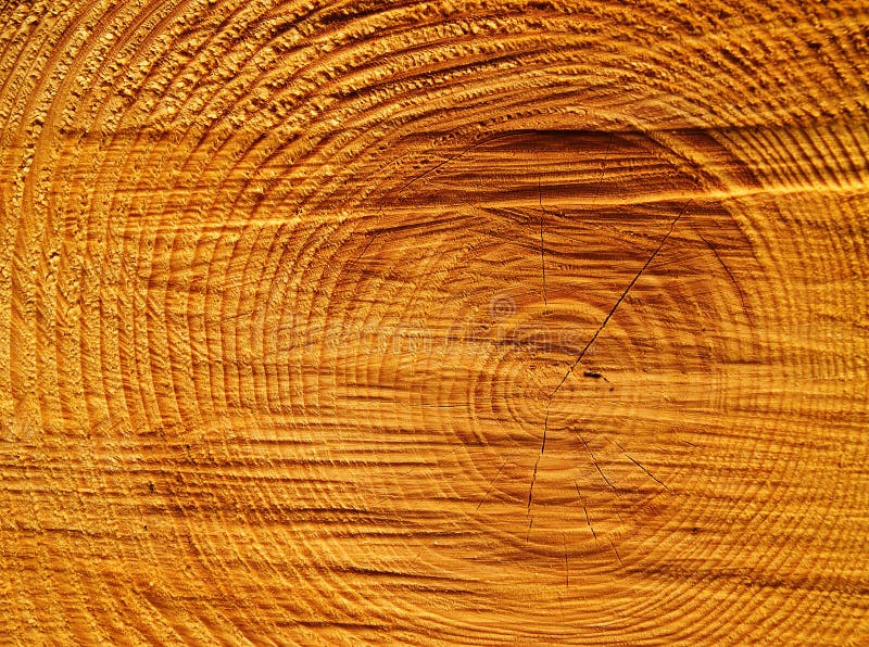 Detail view of the circles typical of wood. Detail view of the circles typical of wood.