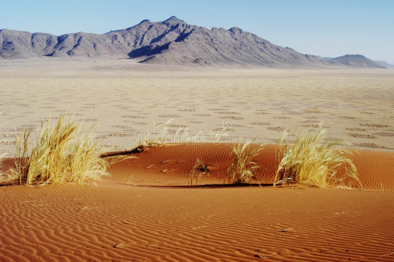 Looking out over fairy circles on grass plain in Nauklift Park, Namib Desert, Namibia. Looking out over fairy circles on grass plain in Nauklift Park, Namib Desert, Namibia