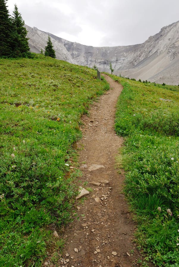 Summer view of winding hiking trail on alpine meadows at ptarmigan cirque, kananaskis country, alberta, canada. Summer view of winding hiking trail on alpine meadows at ptarmigan cirque, kananaskis country, alberta, canada