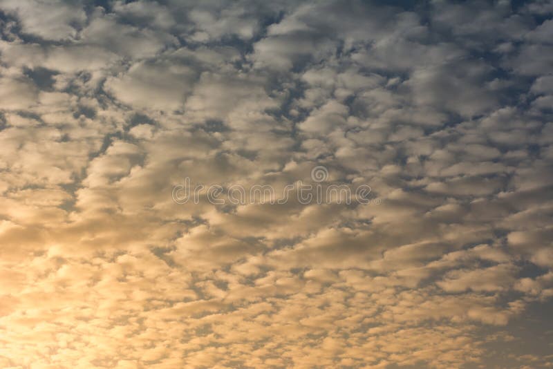 Cirrocumulus on blue sky in sunlight royalty free stock photos Cirrocumulus on blue sky in sunlight royalty free stock photos
