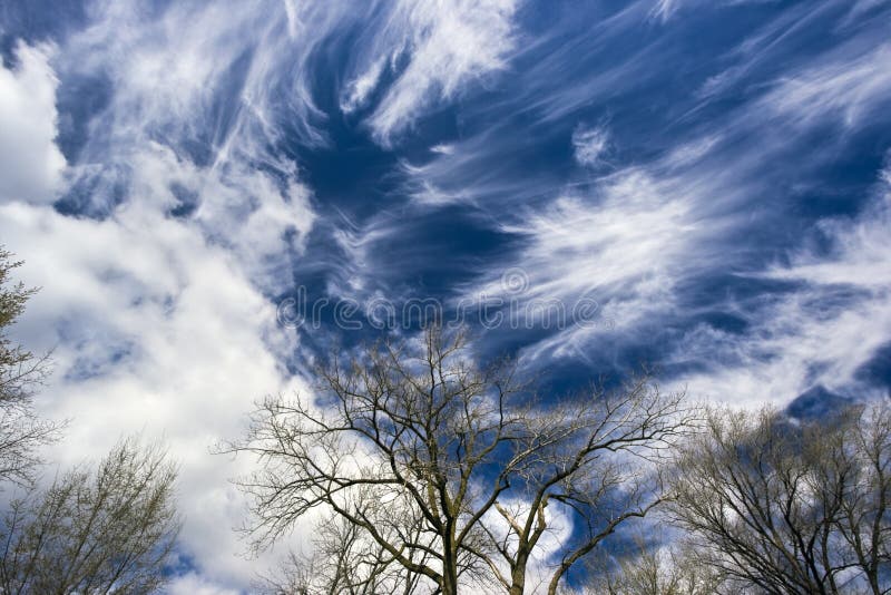 Cirrus Stupéfiants image libre de droits Cirrus Stupéfiants image libre de droits