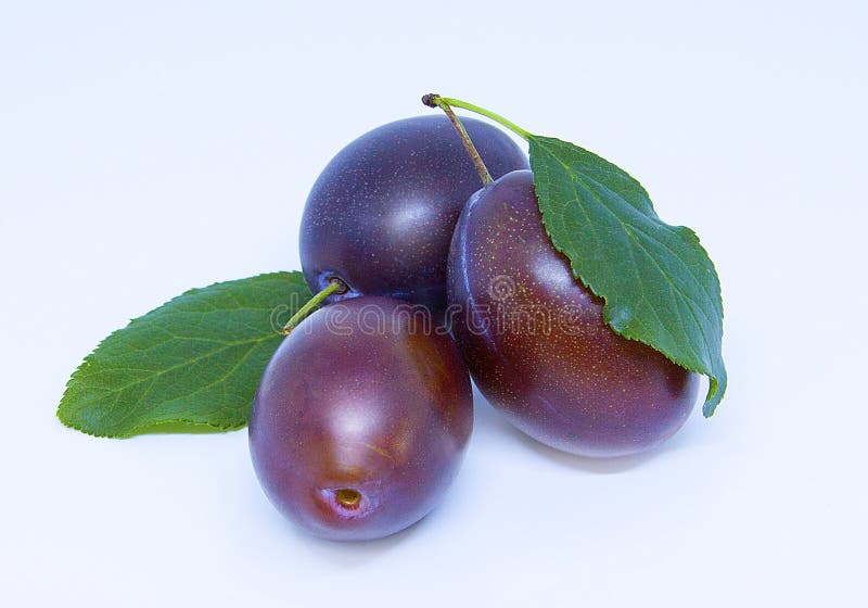 Ciruelos deliciosos maduros aislados en un fondo blanco fotografía de archivo libre de regalías Ciruelos deliciosos maduros aislados en un fondo blanco fotografía de archivo libre de regalías
