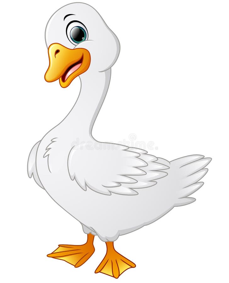 Cisnes lindos de la historieta ilustración del vector Cisnes lindos de la historieta ilustración del vector