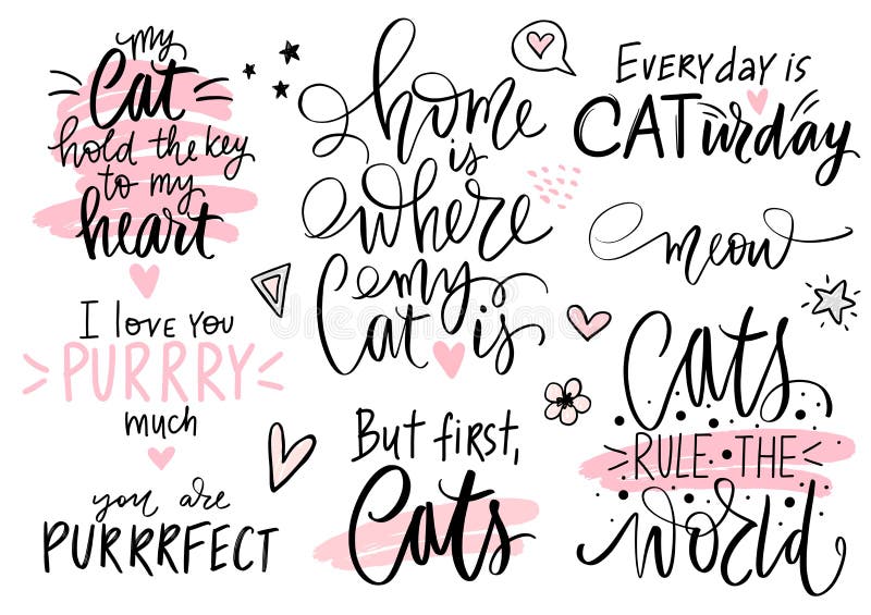 Citas de gatos establecen frases de gatitos de moda de meow. juego de vectores lindo con dichos graciosos.