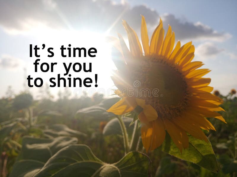 Citation De Motivation Inspiree Il Est Temps Que Vous Brilliez Soin De Narcissisme Et Concept De Confiance Photo Stock Image Du Beaute Floral Citation De Motivation Inspiree Il Est Temps Que Vous Brilliez Soin De Narcissisme Et Concept De Confiance Photo Stock Image Du Beaute Floral