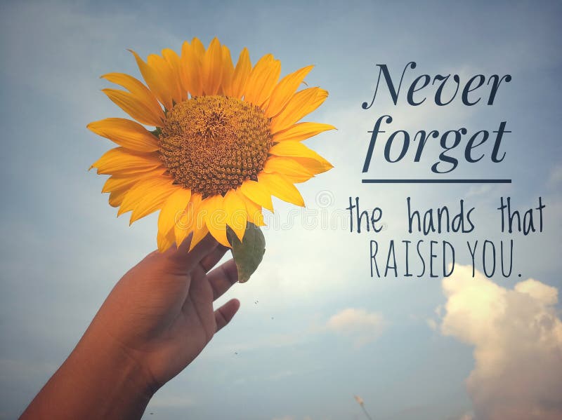 Citation motivante - N'oubliez jamais les mains qui vous ont élevé Sur fond de ciel bleu et de beau tournesol photos stock