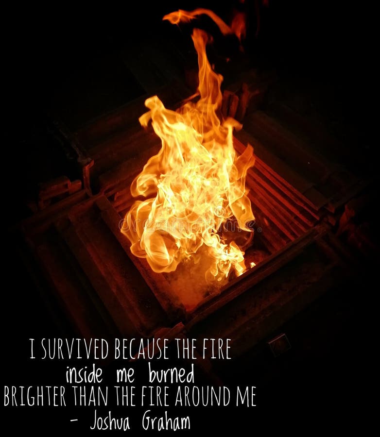 La Vie Sur Le Feu Rumi Image Stock Image Du Peinture La Vie Sur Le Feu Rumi Image Stock Image Du Peinture