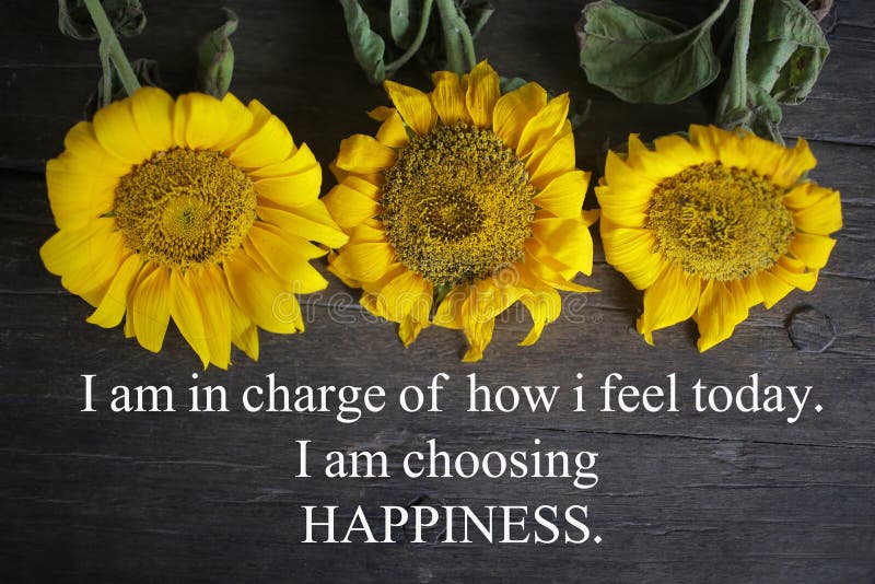 Citação motivacional inspiradora - Eu sou responsável pelo que sinto hoje Eu estou escolhendo felicidade Com flores amarelas do s