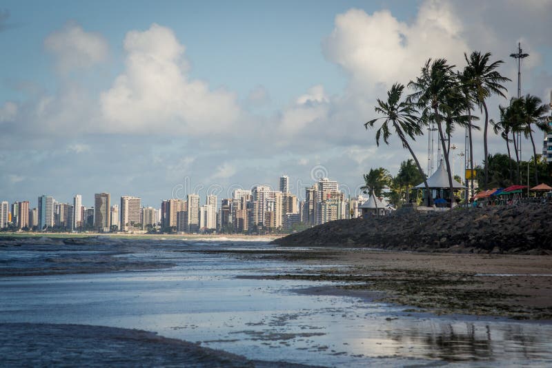  , condizione la capitale da, brasile, ettaro uno da la più lunga urbano spiagge Spiaggia, come otto estensione.