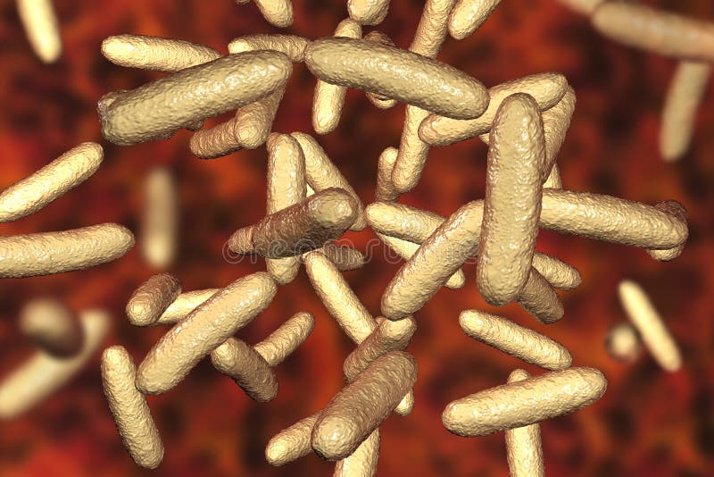 Citrobacter de las bacterias, bacterias de coliforme gramnegativas en las enterobacteriáceas de la familia stock de ilustración Citrobacter de las bacterias, bacterias de coliforme gramnegativas en las enterobacteriáceas de la familia stock de ilustración