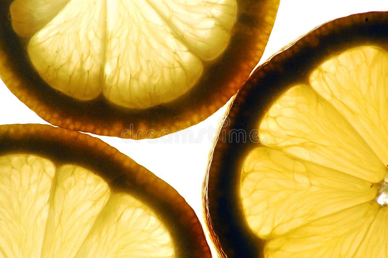 Color photo of backlit lemons. Color photo of backlit lemons.