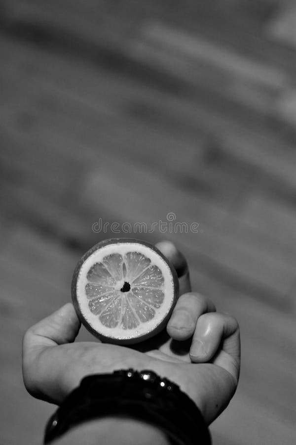 Citron frais à disposition images libres de droits Citron frais à disposition images libres de droits
