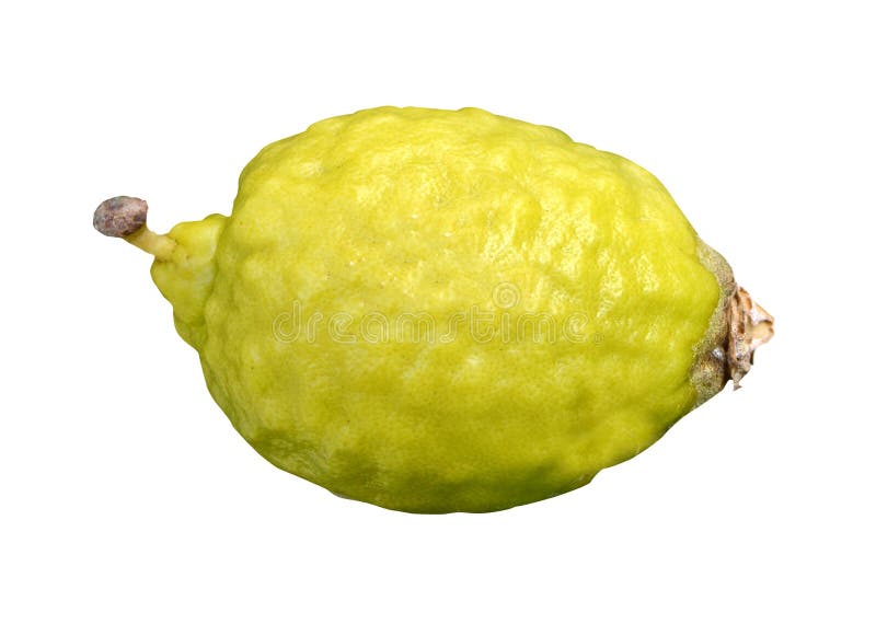 Citron Isolated On White Background Stock Photo Image of jewish