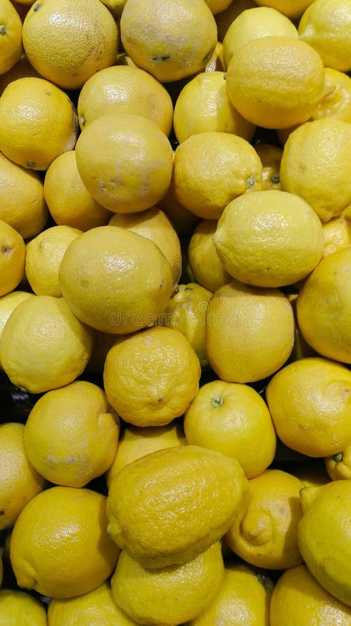 Many yellow lemons at green grocer market. Many yellow lemons at green grocer market