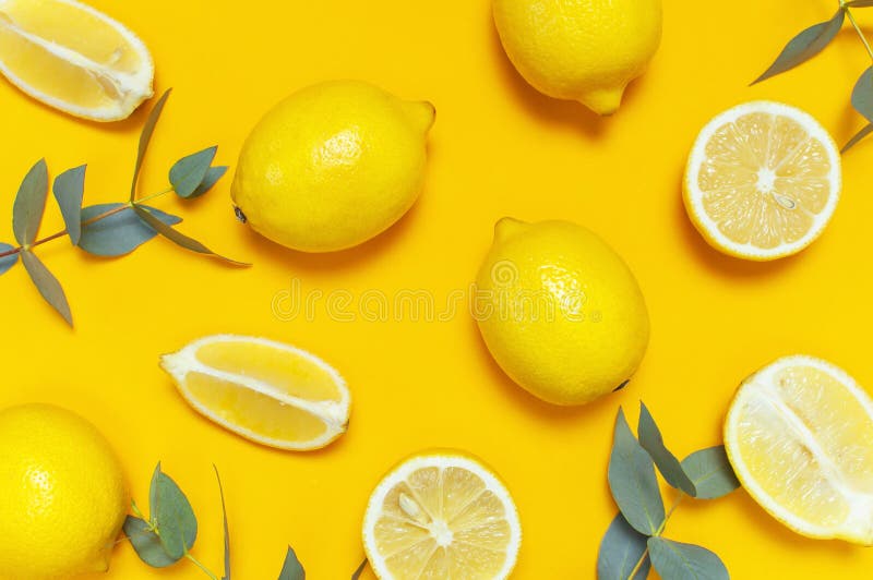 Citrons juteux mûrs et brindilles vertes d'eucalyptus sur le fond jaune lumineux Fruit de citron, concept minimal d'agrume Été cr photos stock Citrons juteux mûrs et brindilles vertes d'eucalyptus sur le fond jaune lumineux Fruit de citron, concept minimal d'agrume Été cr photos stock