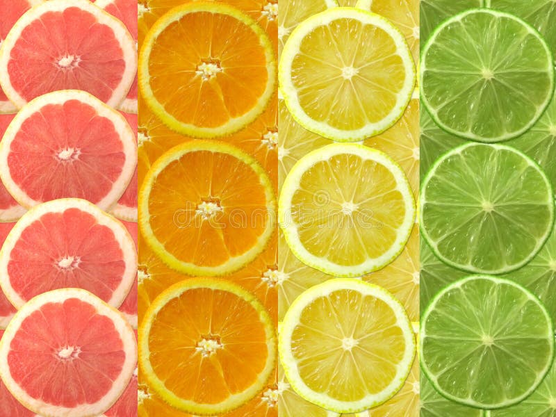 Fresh citrus slices as a background