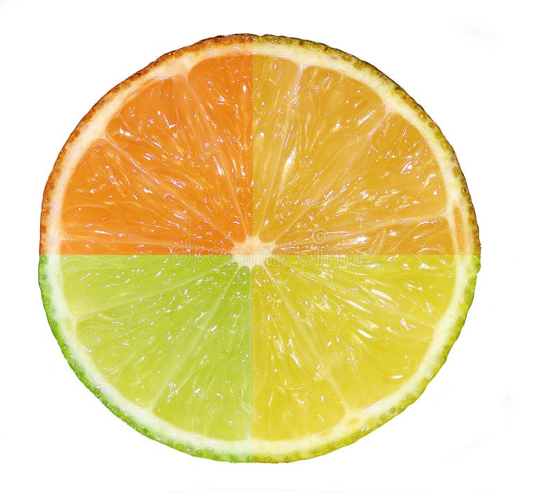 A composite shot of four citrus fruit: orange, blood-orange, lime and lemon. A composite shot of four citrus fruit: orange, blood-orange, lime and lemon.