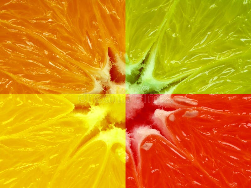 Composition of four different citrus fruit.