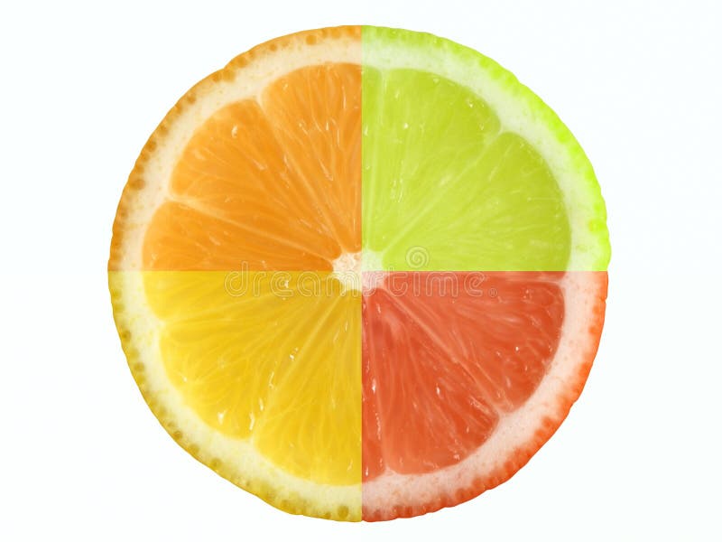 Four different citrus fruit. Clipping path. Four different citrus fruit. Clipping path.