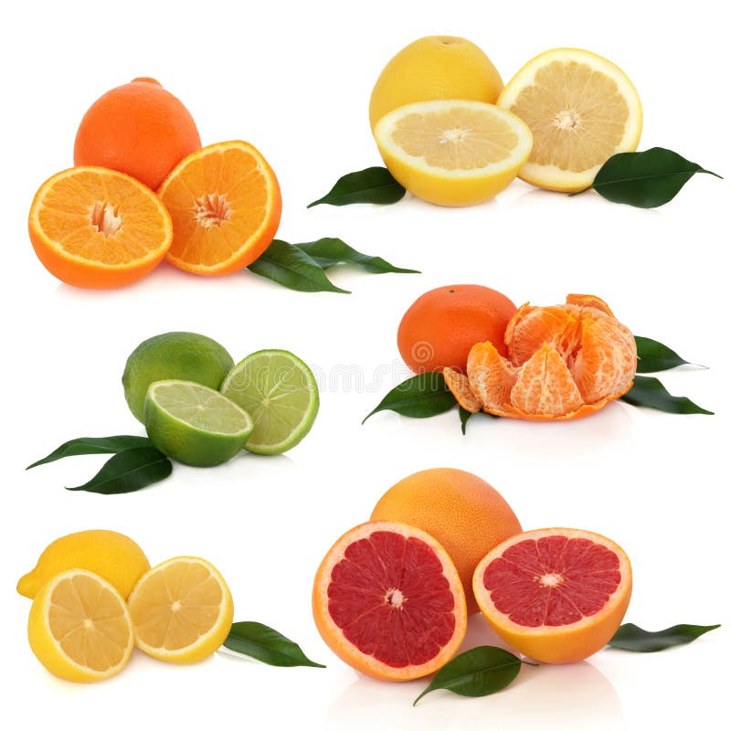 Citrus fruit collection of lemon, lime, orange, tangerine and grapefruit with leaf sprigs, isolated over white background.