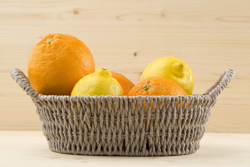 Citrus fruits stock photo. Image of season, basket, fruits 84418994