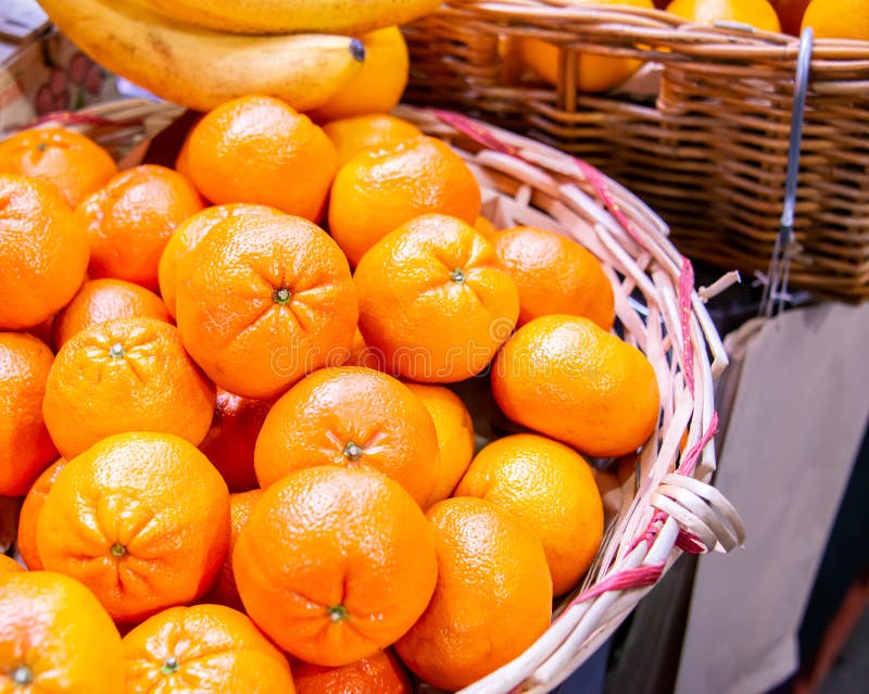 Citrus Fruits at the Market Display Stall Stock Image Image of