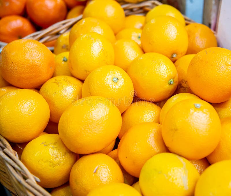 Citrus Fruits at the Market Display Stall Stock Photo Image of