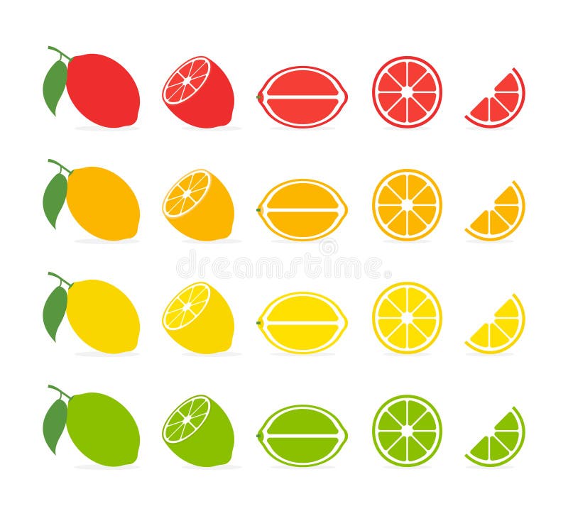 Citrus slices. Vector isolated icon. Tropical fruit isolated. Grapefruit orange lemon lime vector design. Citrus collection
