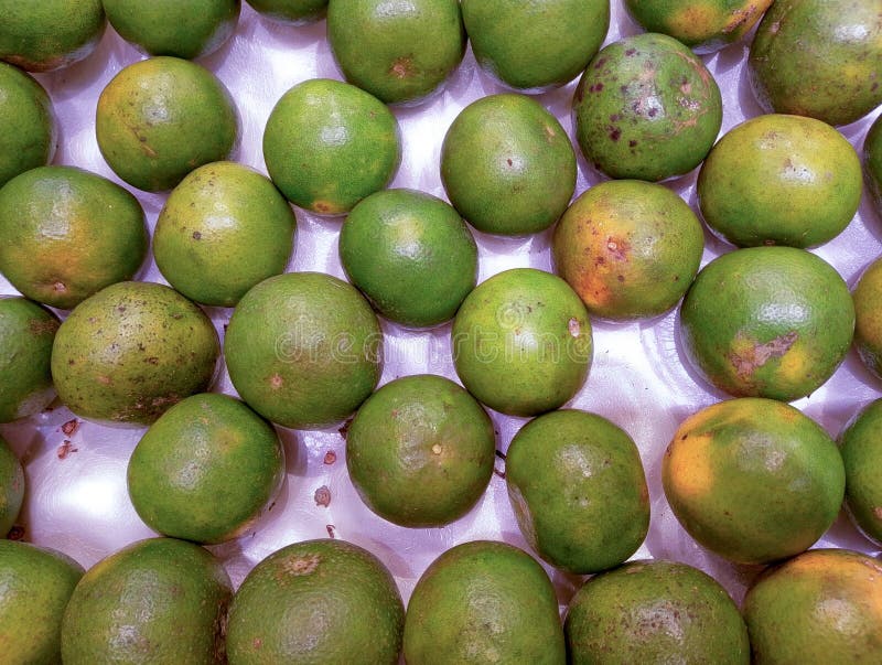 A Citrus Symphony: A Vibrant Display of Fresh Limes royalty free stock photo