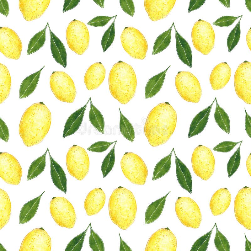 Citrus sömlös modell som göras av citroner Hand dragen vattenfärgillustration royaltyfri illustrationer Citrus sömlös modell som göras av citroner Hand dragen vattenfärgillustration royaltyfri illustrationer