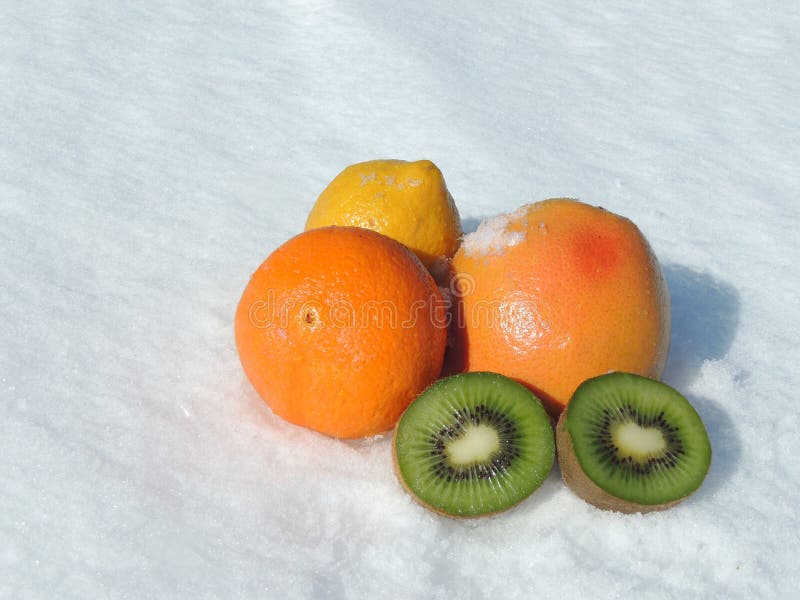 Citrusfrukt på snö arkivfoton Citrusfrukt på snö arkivfoton