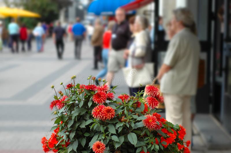 City flowers stock image. Image of beautiful, europe 18603177