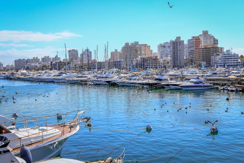 City and Marina panorama of Punta Del Este at sunny day, Uruguay