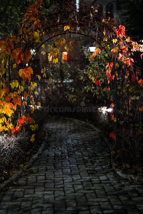 Night park in autumn with paths strewn with red and yellow leaves and maple trees. Park with a lantern. The frightening darkness