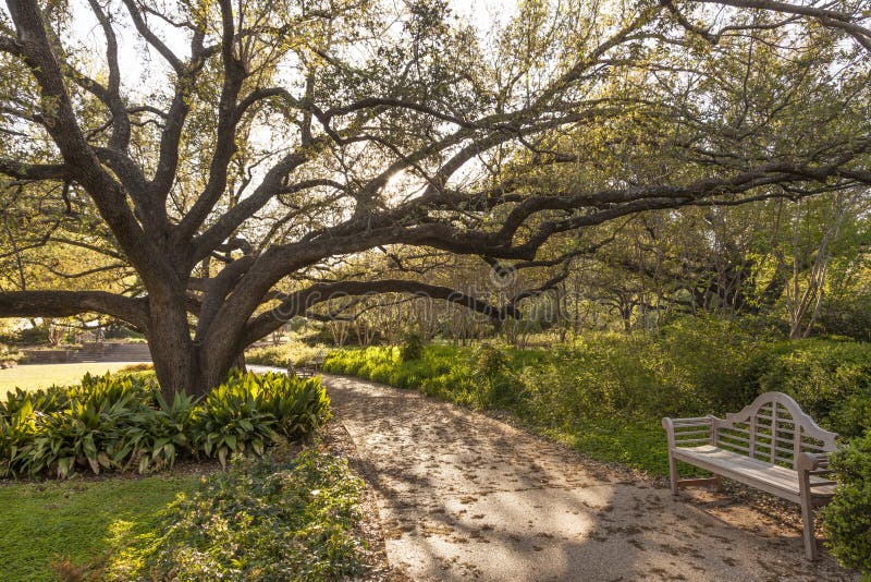 City park of Fort Worth, TX, USA stock images City park of Fort Worth, TX, USA stock images
