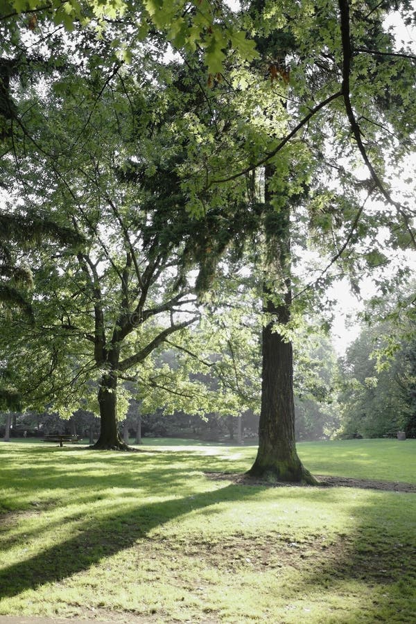 City Park, Lauralhurst in Portland Oregon