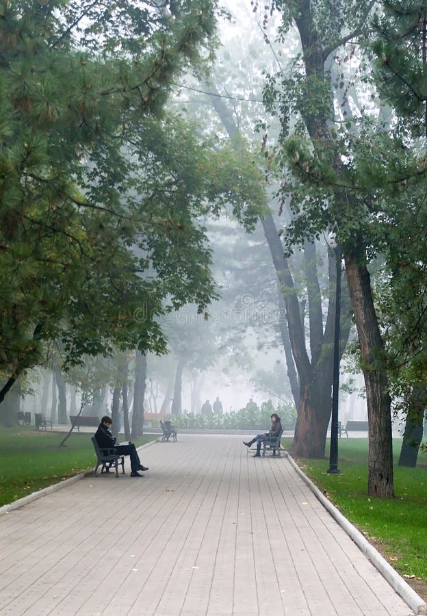 City park in morning fog